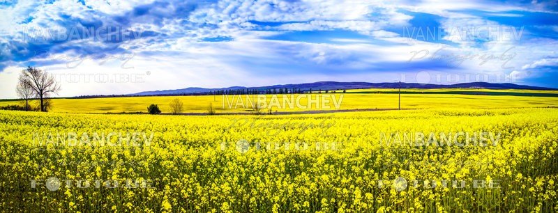 Панорамна фотография, Панорама, Интерактивна (3D) панорама, 180° панорама, 360° панорама, 180 градуса панорама, 360 градуса панорама, Професионална рекламна фотография, рекламна фотография, Архитектурна фотография, добър фотограф, Иван Банчев фотография, професионален фотограф, рекламни печатни материали, професионална изработка на рекламни печатни материали, професионална изработка на печатни материали, снимки за брошури, снимки за билборд, снимки за  уеб сайт, снимки за онлайн магазин, снимки за печатни издания,  fototo.be